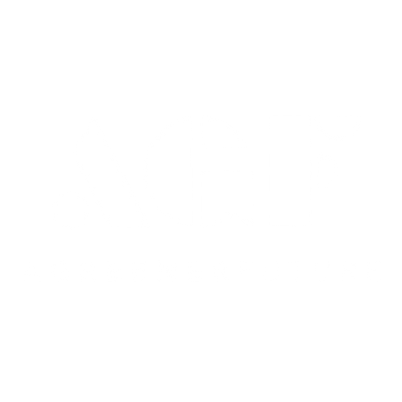 Bristol Harbour Festival bristol-harbour-festival